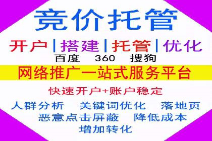 Sem优化公司实例：电商流量提升策略